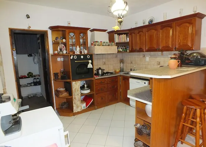 Vadrozsa Vendeghaz