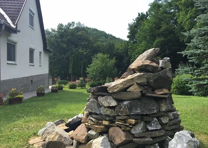 Casa de hóspedes Vadrozsa Vendeghaz Kishuta